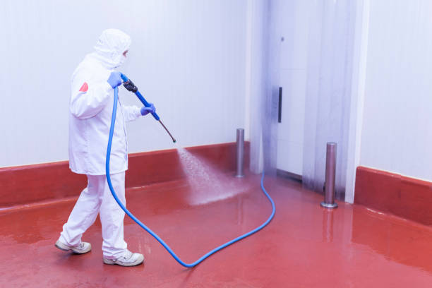 Best Rust Removal  in Westville, NJ